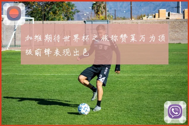 加维期待世界杯之旅称赞莱万为顶级前锋表现出色
