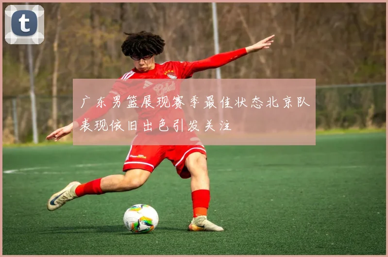 广东男篮展现赛季最佳状态北京队表现依旧出色引发关注